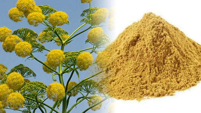 Asafoetida in Indian Cooking