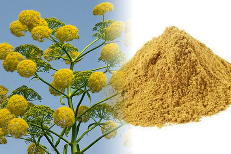 Asafoetida in Indian Cooking