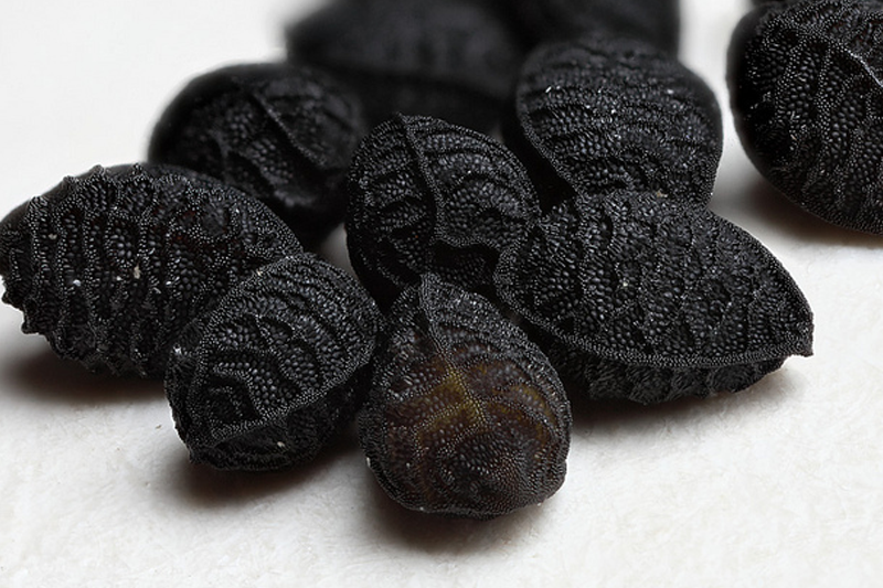 Unique, Savoury, Nigella Seed - What it is and how it's Used